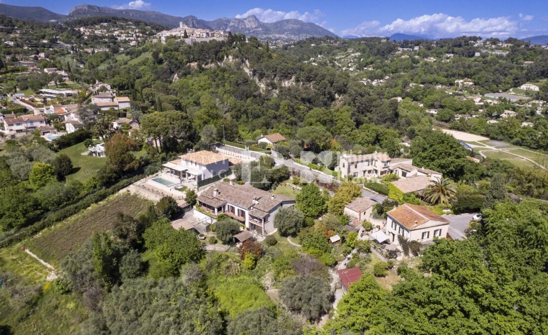 SAINT PAUL DE VENCE : The last vineyard of the village