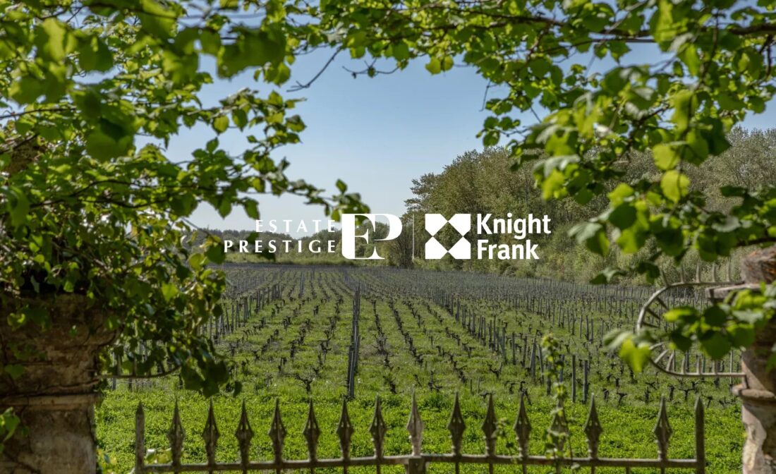 BORDEAUX COUNTRYSIDE – Charming vineyard property