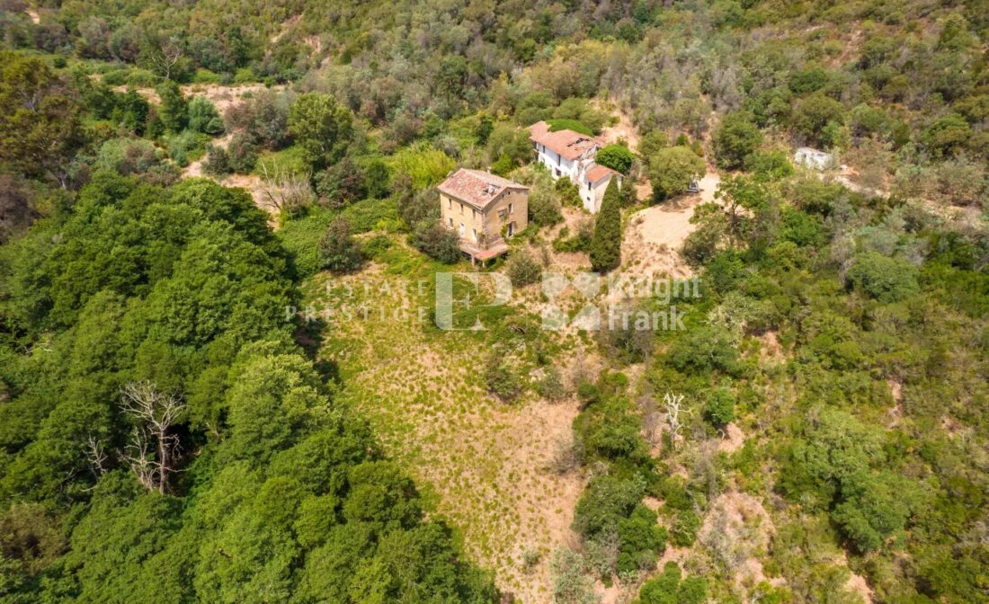 CANNES – Development Project on a 10 hectares next to Cannes