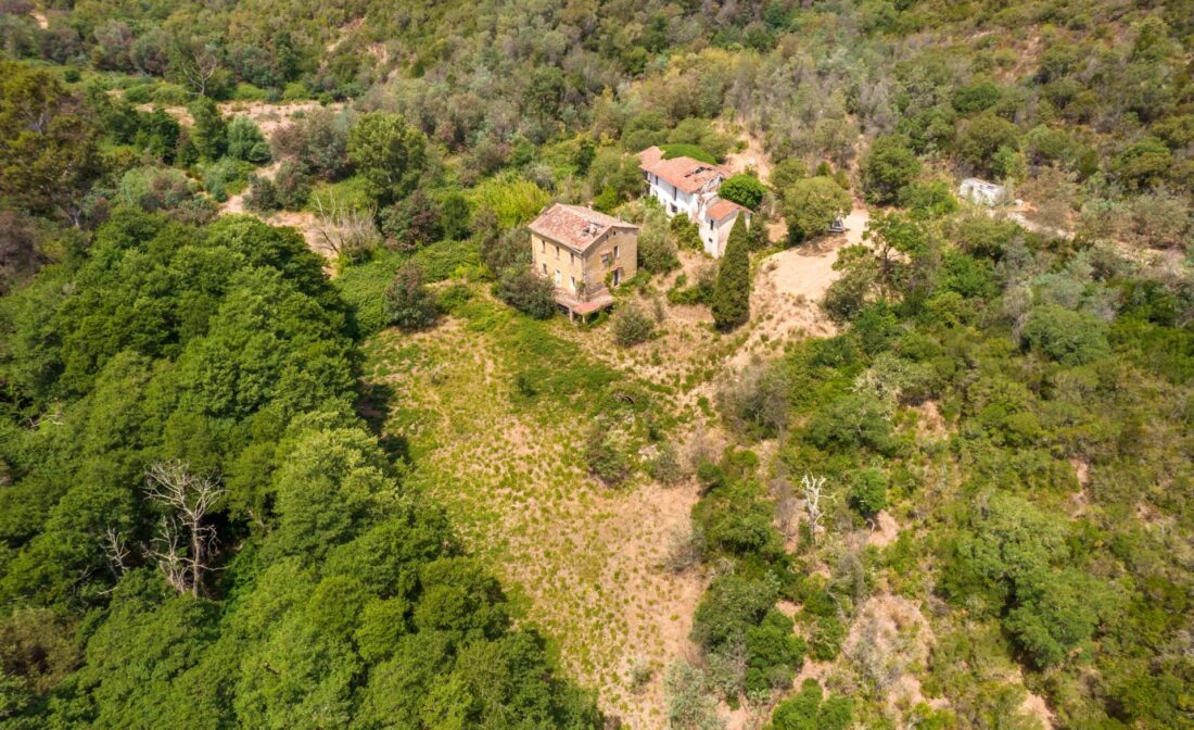 CANNES – Projet de rénovation sur un terrain de 10 hectares à 15 minutes de la plage