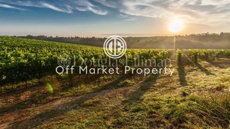 CADILLAC – Propriété viticole